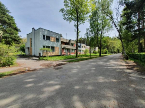Before reconstruction chance